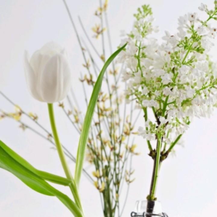 陈小灿