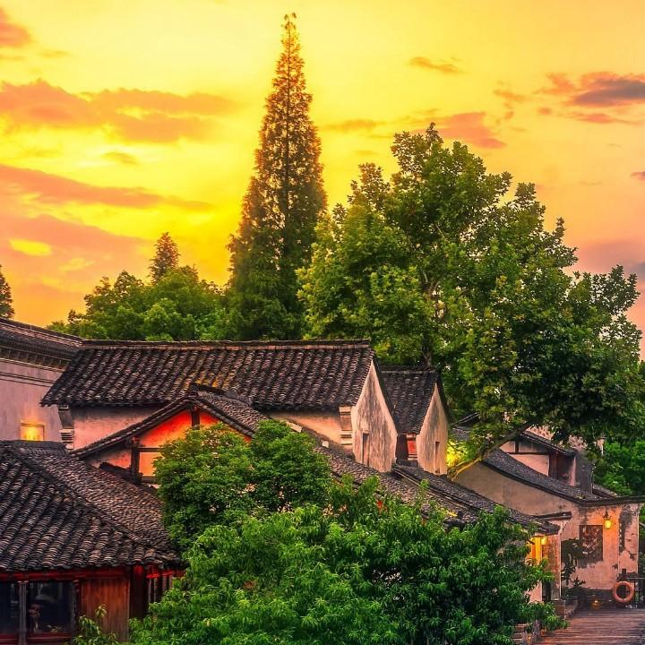 悠悠