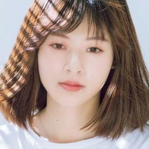 蔷薇