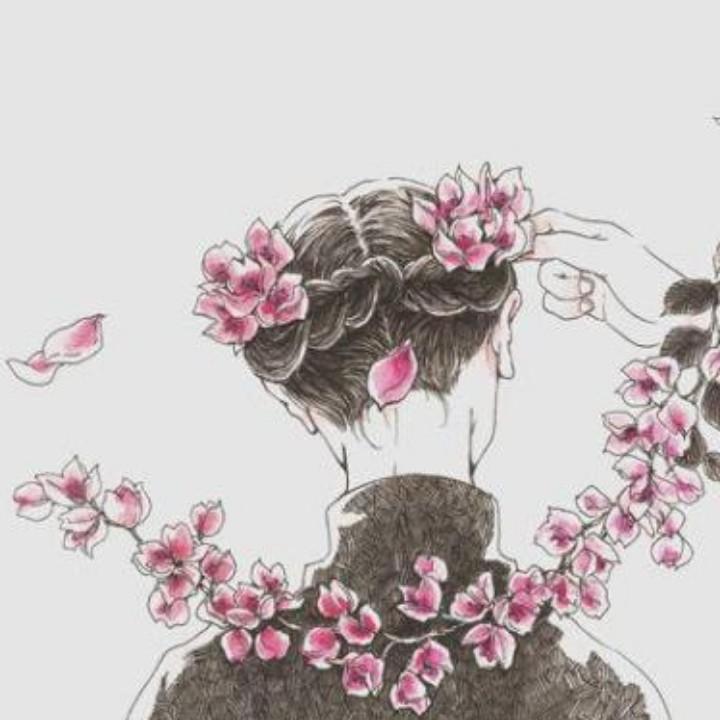 （紫轩北辰）笑梦江山网络科技工作室