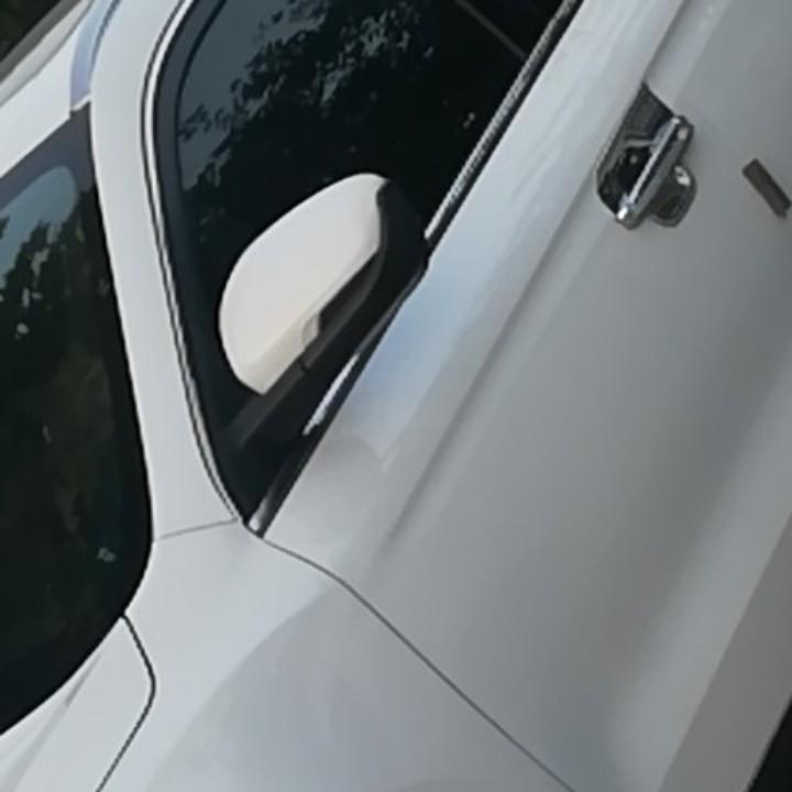 张大帅