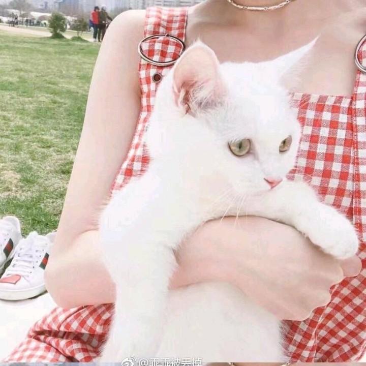 发亿.小财⁸