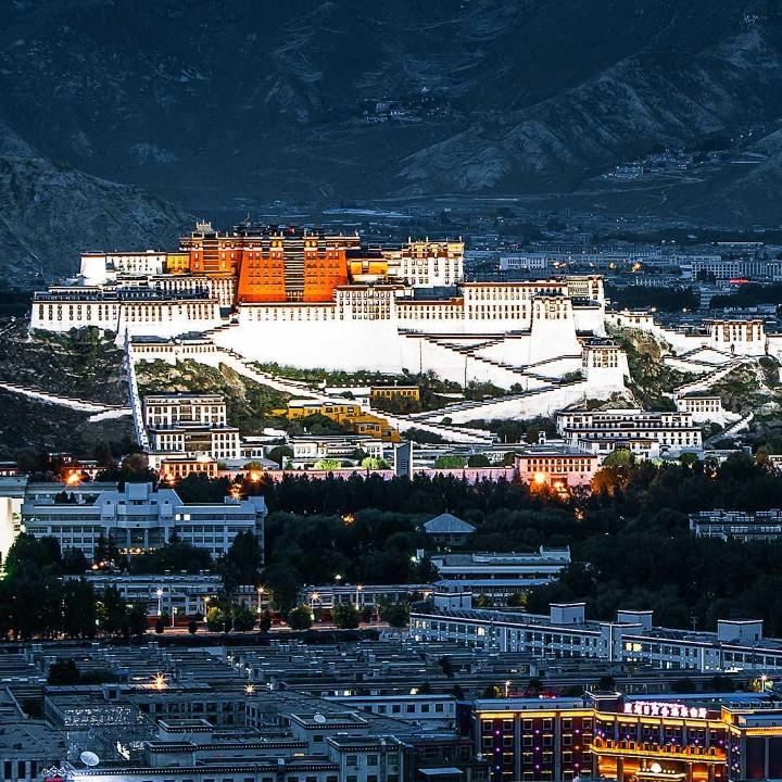 可可西里的牧羊人