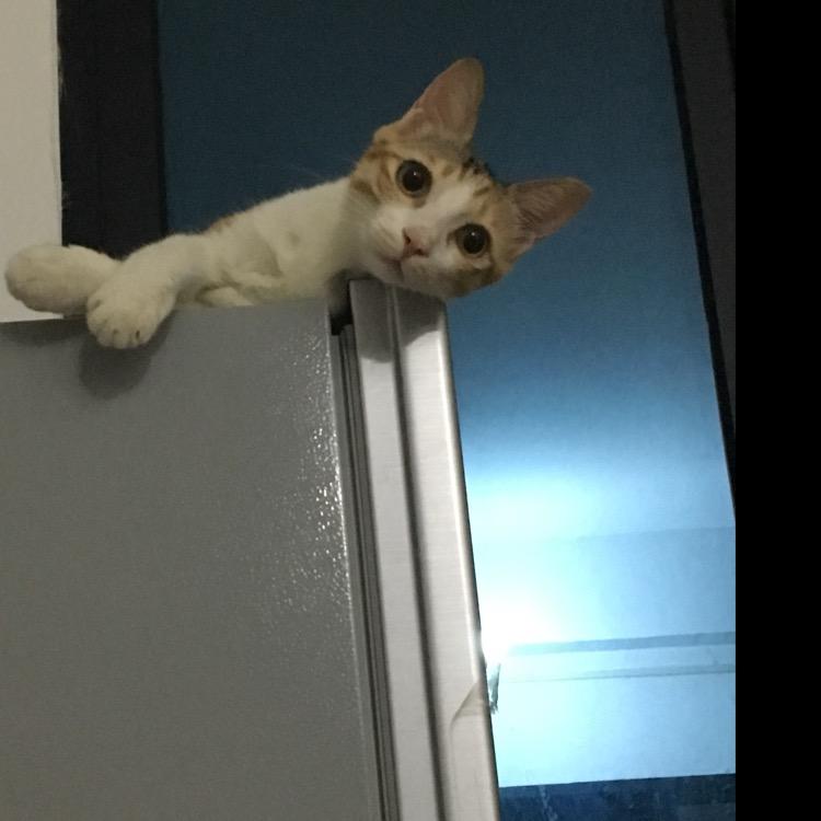 竟然有人