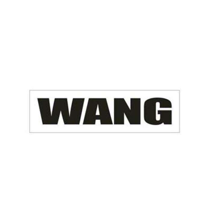 隔壁老王头