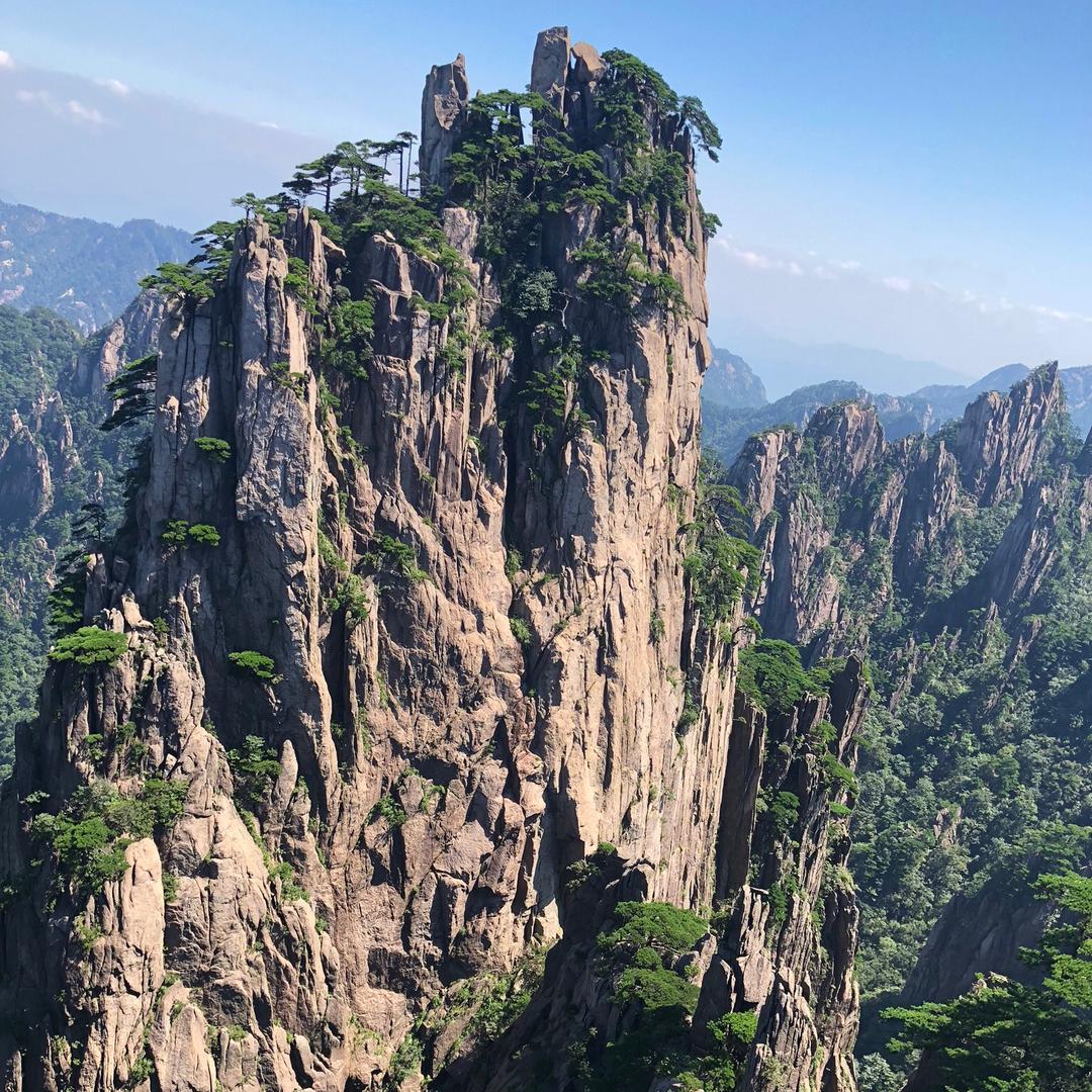 王释木