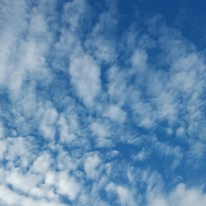 心想事成