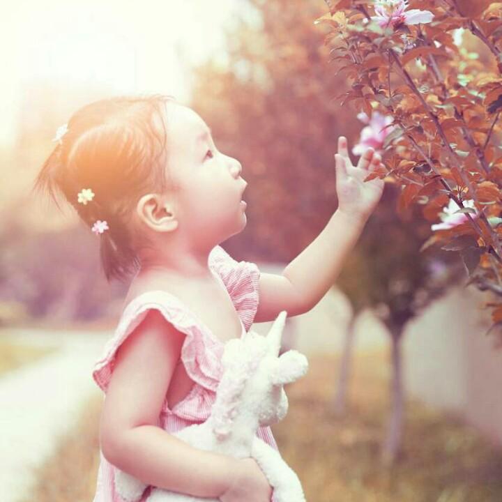 淡然一笑🌹🌹