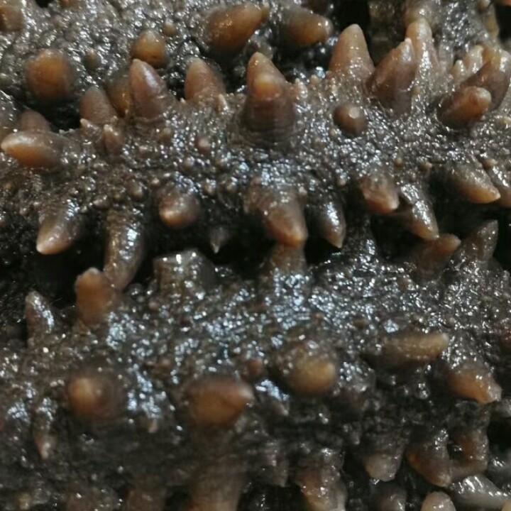 祥和顺鑫
