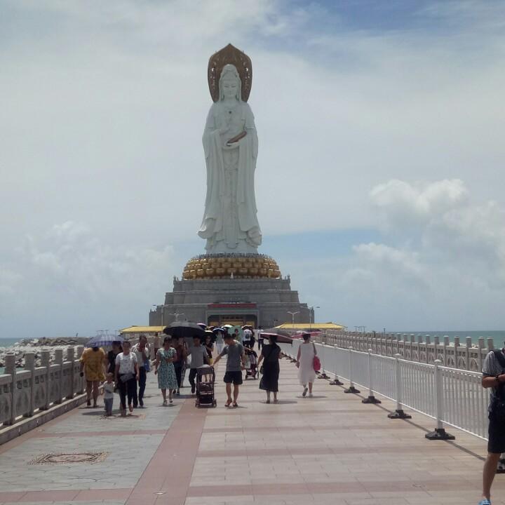 丢了幸福的猪