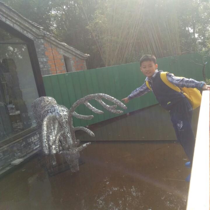 高姐姐
