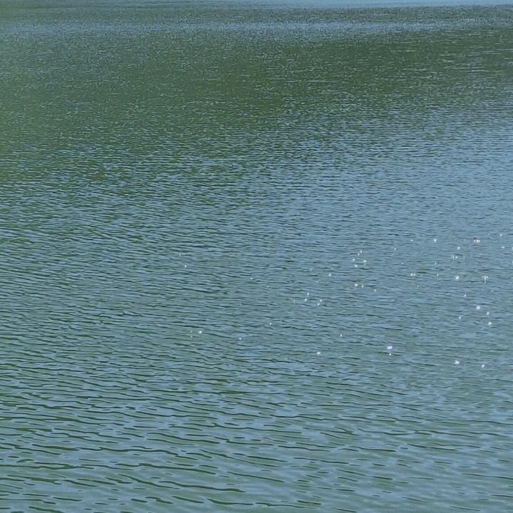 微笑の瞳孔、