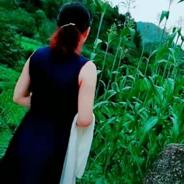 储宗美