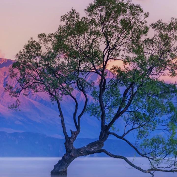 庐陵水泥王光华