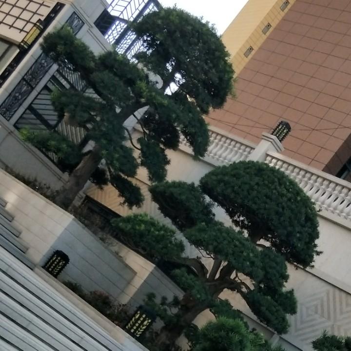 为意未满