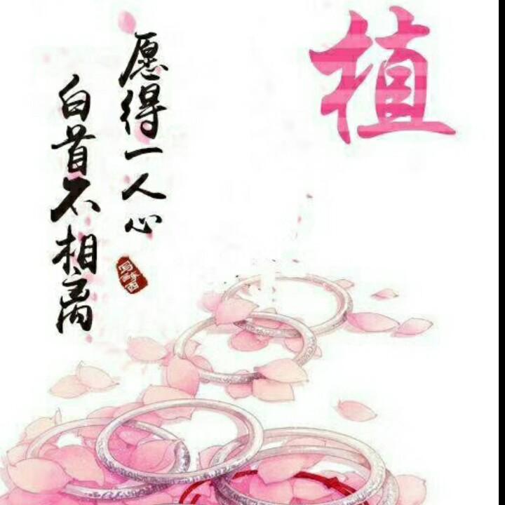 人间清醒'
