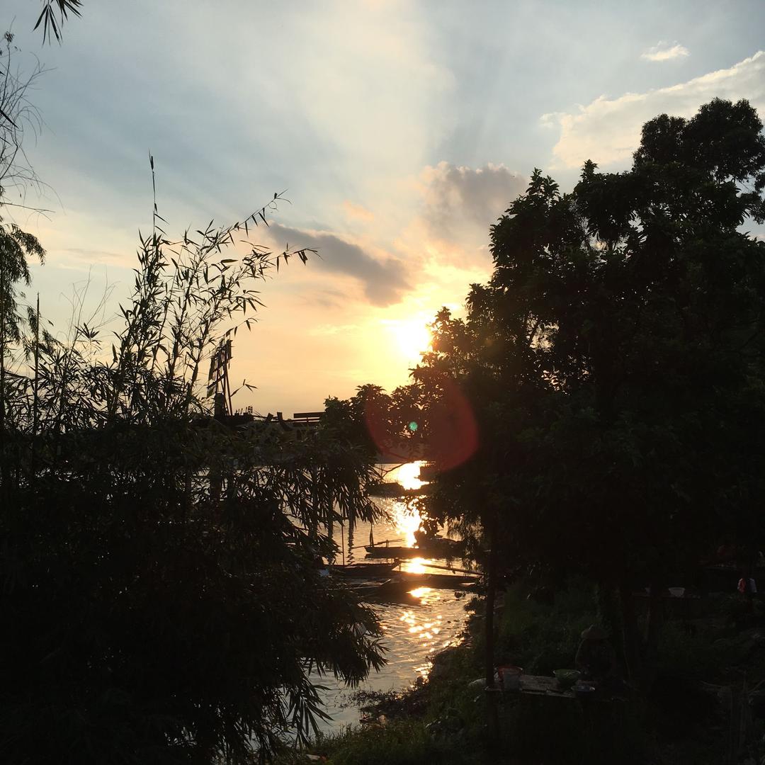 刘美丽