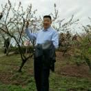 胡定桥