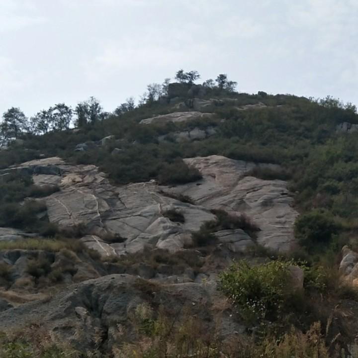 拒绝不开心(❁´◡`❁)*✲ﾟ