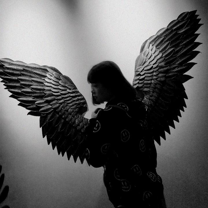 耿耿的养猫日记