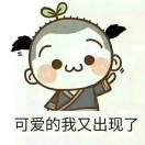 似是故人来wy