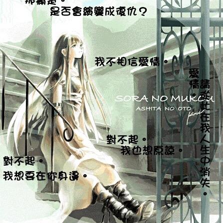 飞鸽