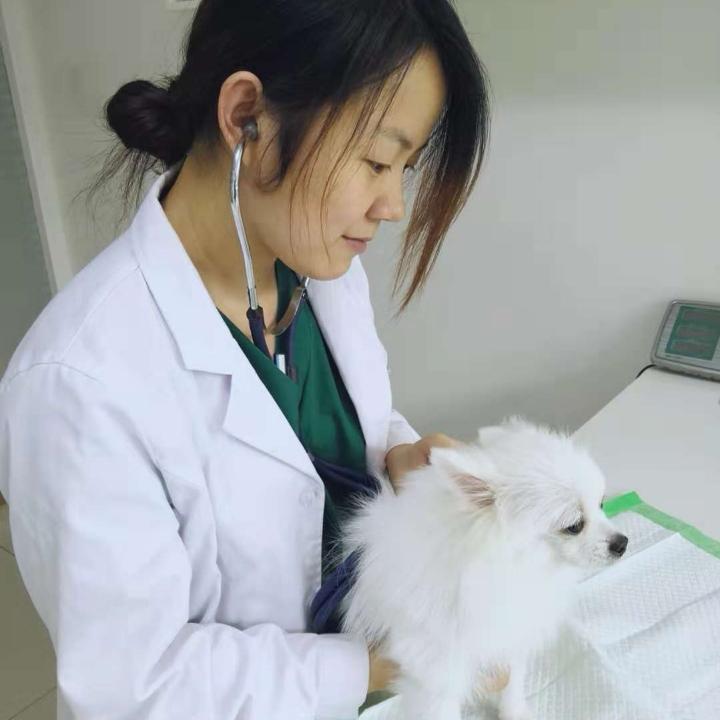 Vet.Gong
