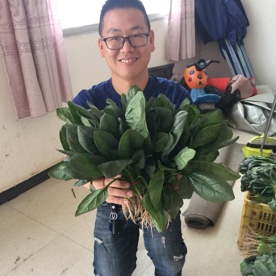 鼎优助农