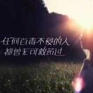璐歌