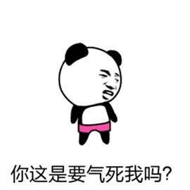 小花猫，也是小懒猫