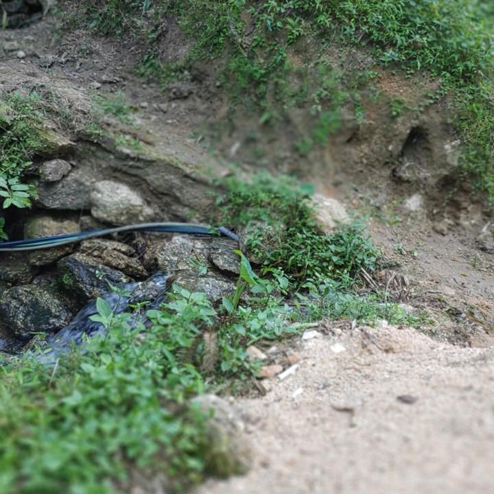 清闲