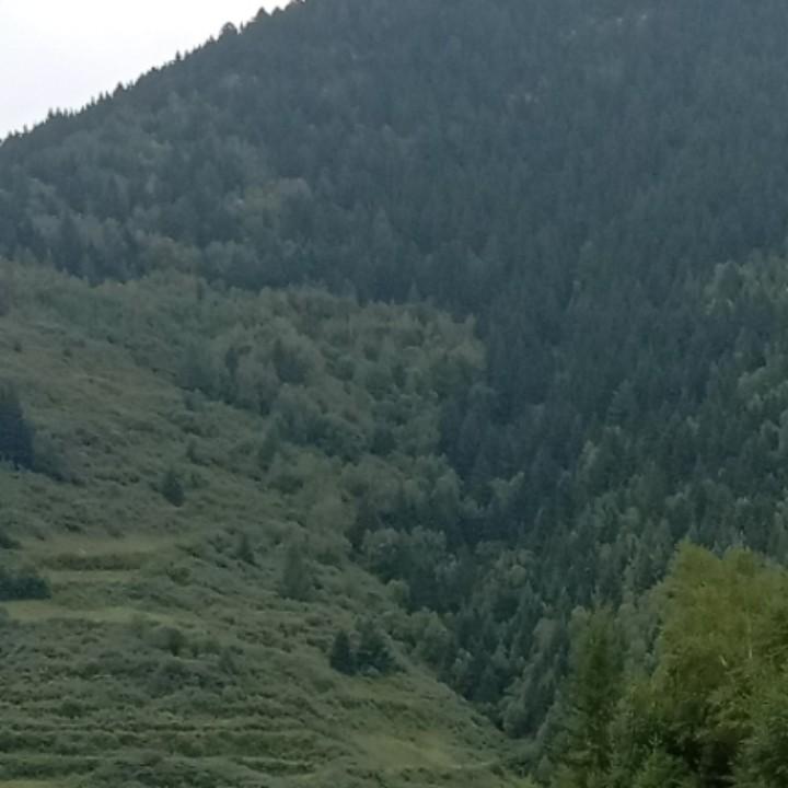 用户493576