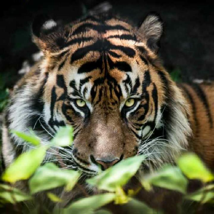 光头哥𒐫𒐫𒐫𒐫𒐫𒐫𒐫𒐫