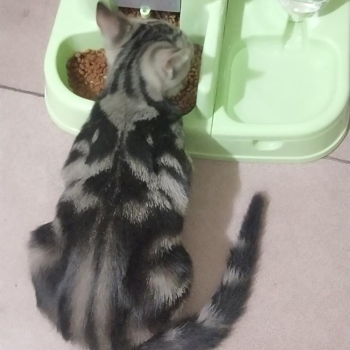 云淡风轻