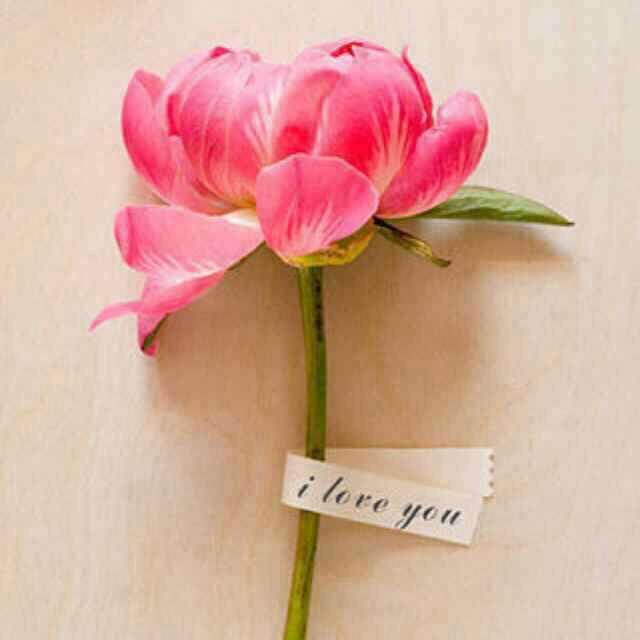 忍忍忍神马🇨🇳⁸³²