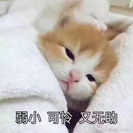 雨 涵