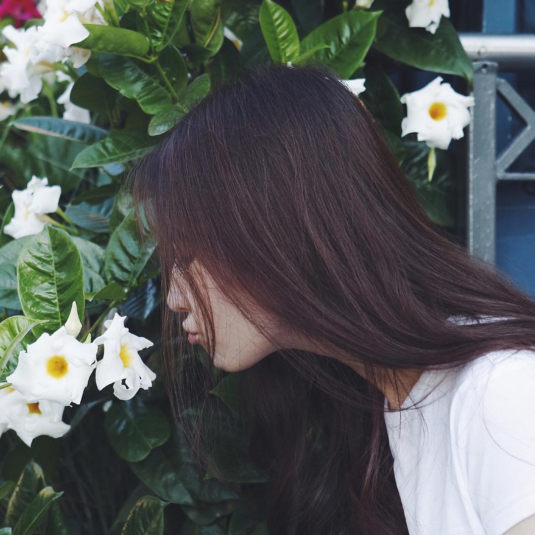 樱子