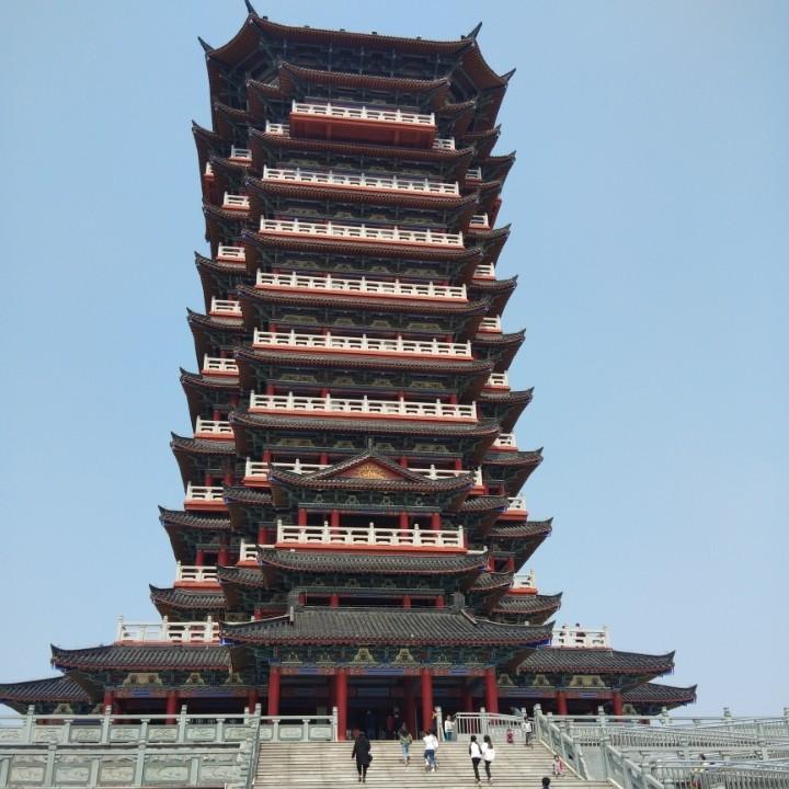 为你而来情感