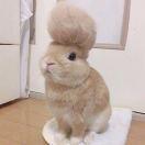 碳啊