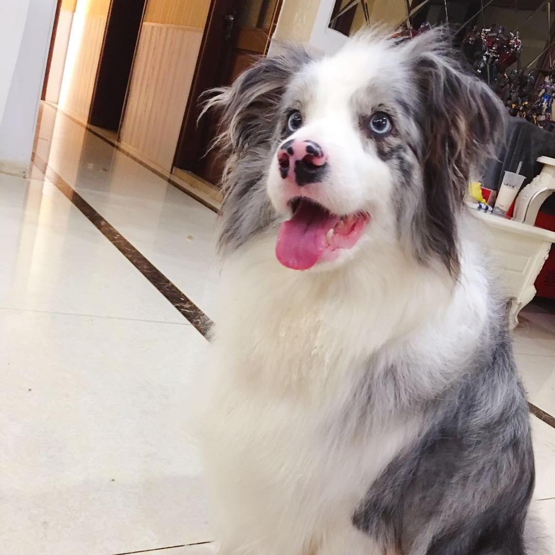 刘吉祥