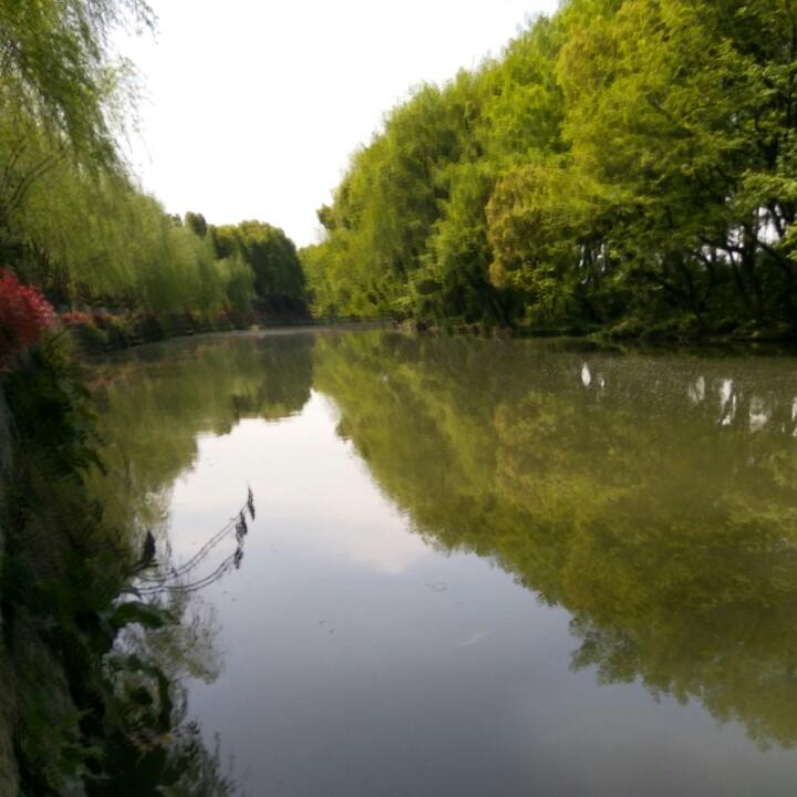 忆☞⊙王⊙☜情深