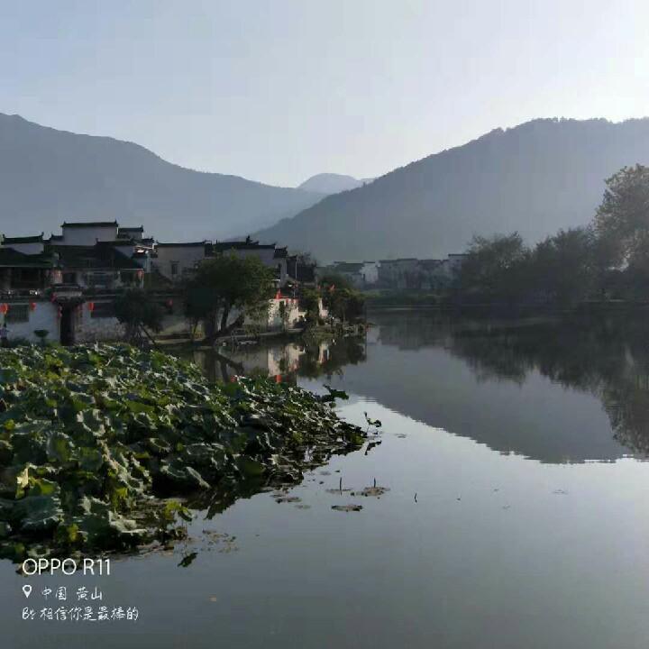 虾怪