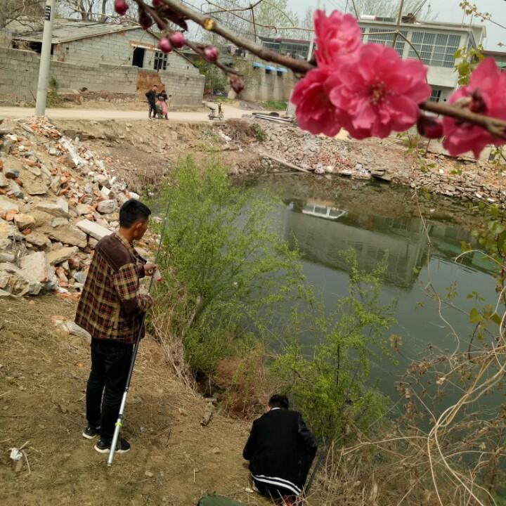 局部地区小有名气的哲学家