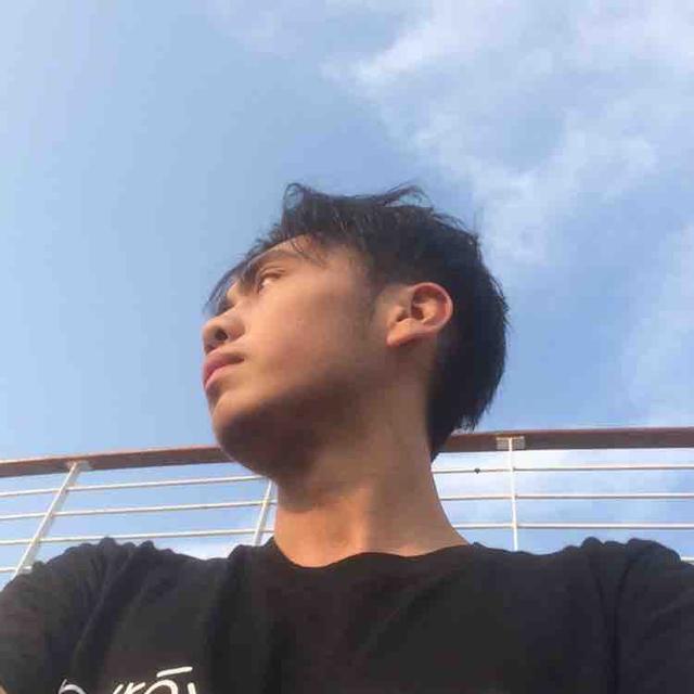 W总动员