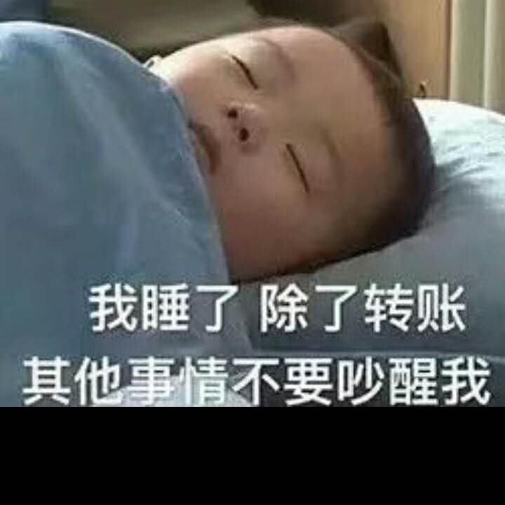 北燕南飞