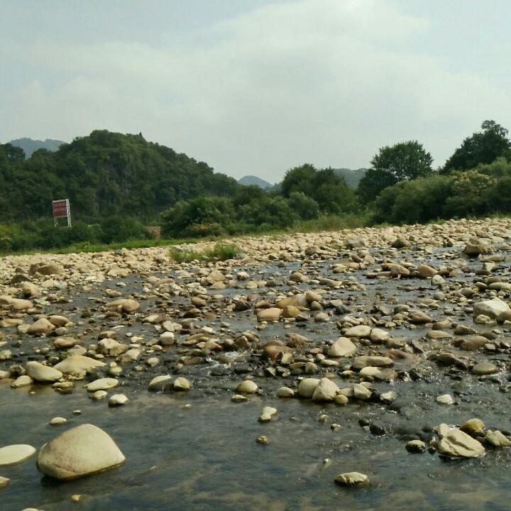 一醉解千愁