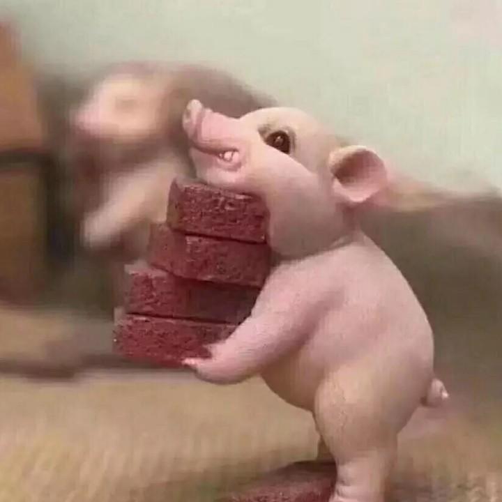 哎