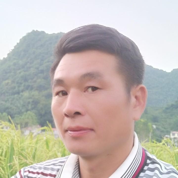 波波