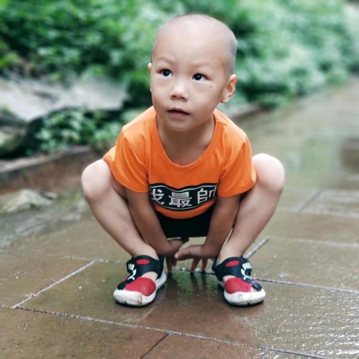 红鲤鱼与绿鲤鱼与驴 、