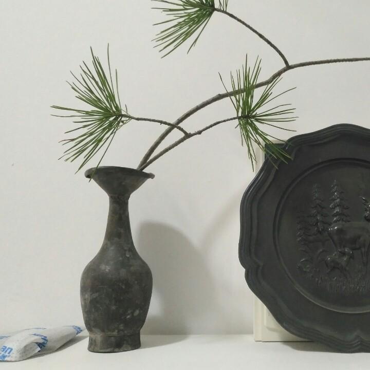 梅子